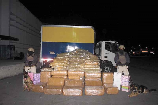 Decomisan en Mérida 500 kilos de marihuana oculta entre cajas de zapatos