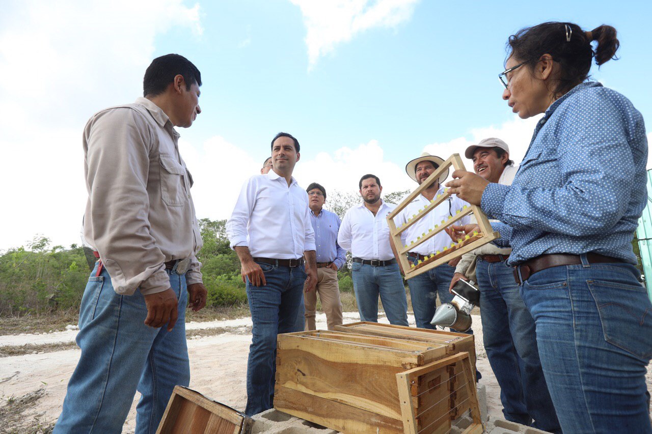 Visita Mauricio Vila el Centro de Producción de Abeja Reina de Tizimín