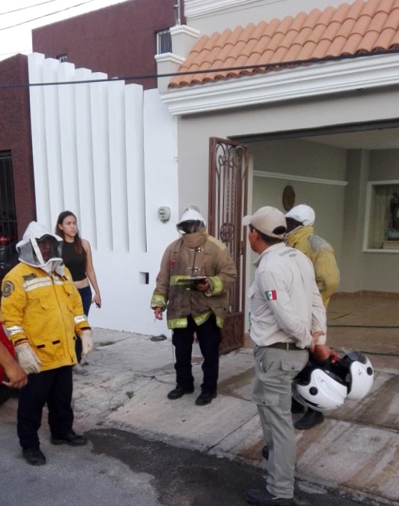 Abejas atacan a dos jóvenes en el Parque Ecoarqueológico de Xoclán