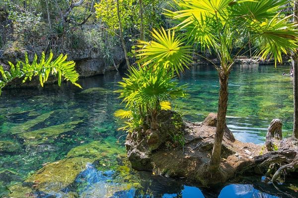 Meterse bruscamente a cenotes en época de calor podría causar la muerte