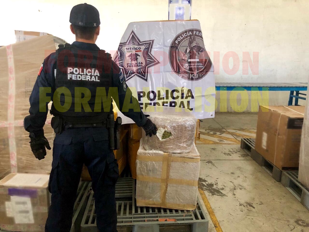 Ocultan marihuana en condimento para elaborar cochinita