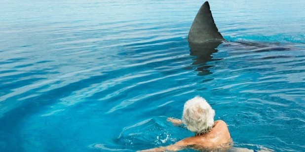 Tiburón ataca a un tabasqueño en Holbox