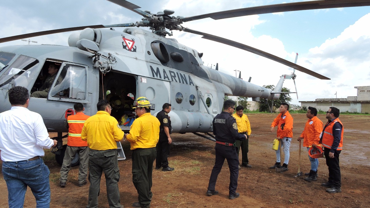 Se controla incendio forestal cerca de la Reserva de Celestún