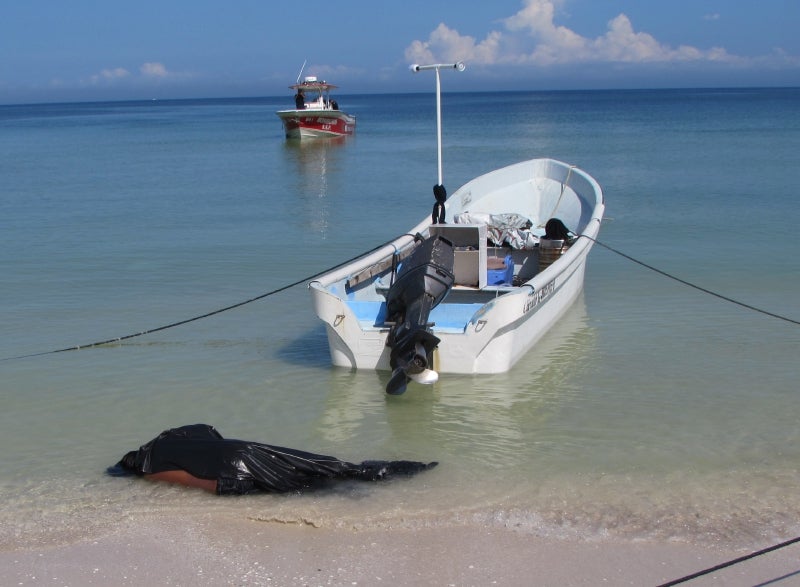 Hallan cadáver flotando en Chicxulub Puerto