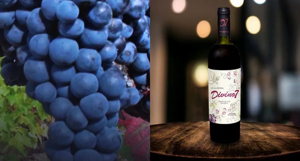 Este vino no emborracha y además retarda el Alzheimer y el Parkinson