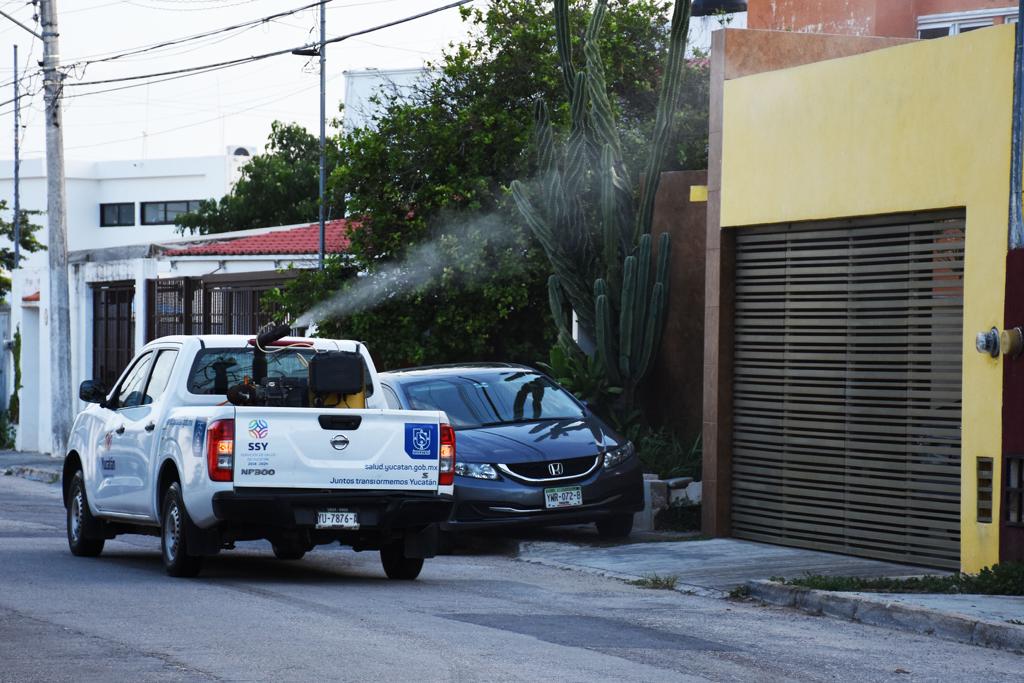 Intensa estrategia frontal contra el dengue