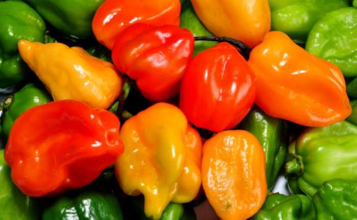 Científicos demuestran que consumir chile habanero puede salvarte la vida