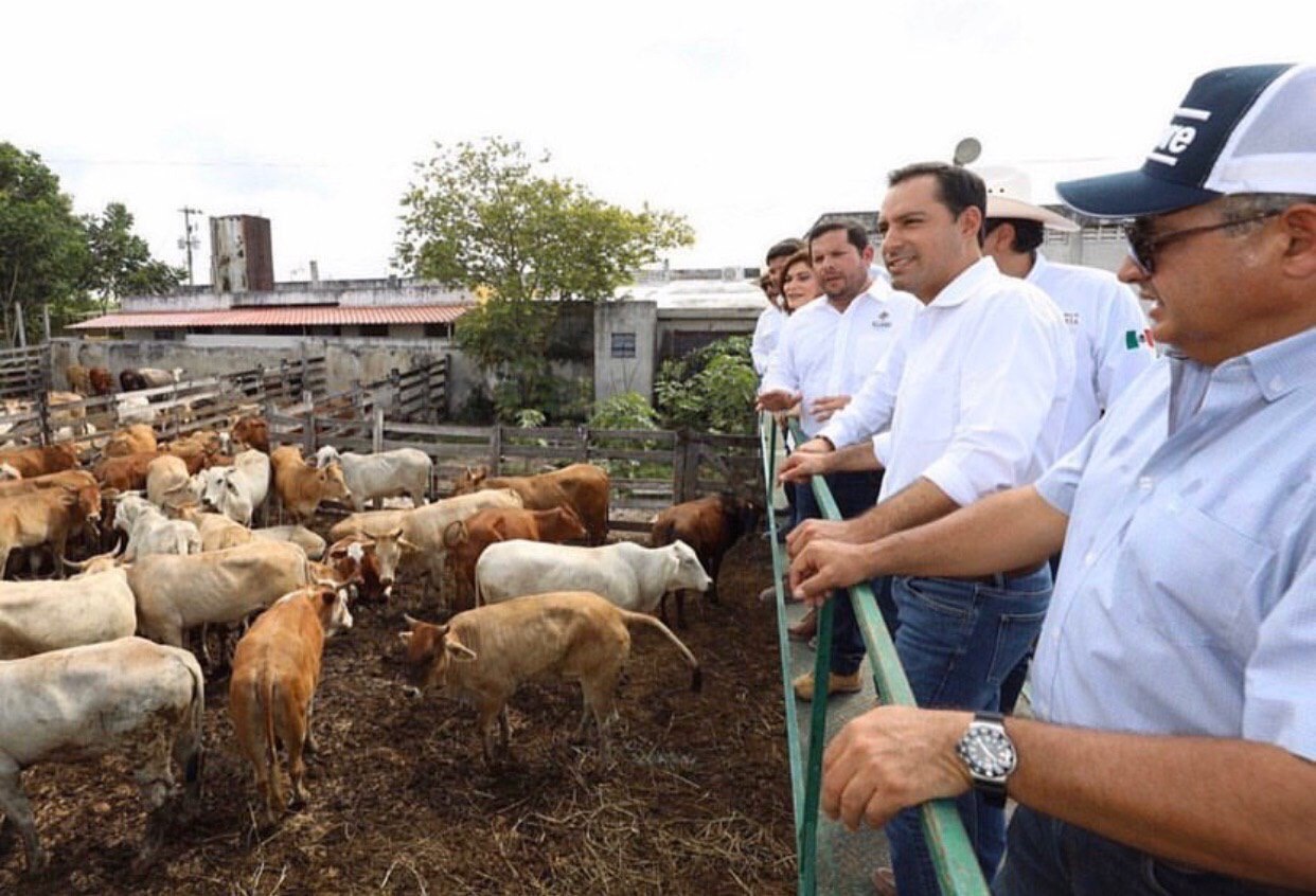 Mauricio Vila impulsa oportunidades para el campo yucateco