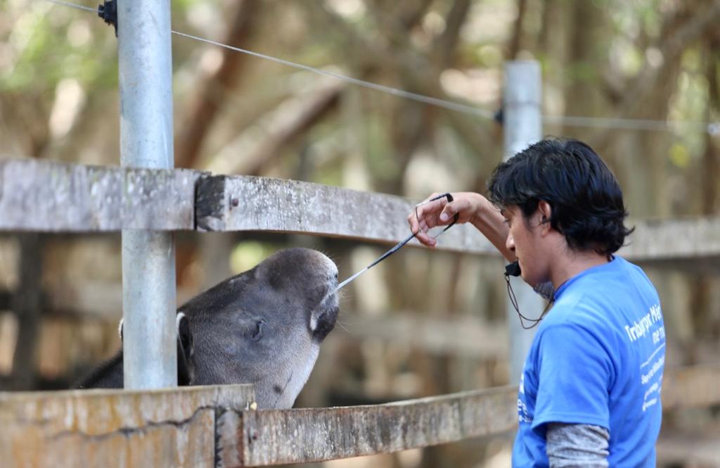 Protegen del intenso calor a los animales del Centenario y Animaya