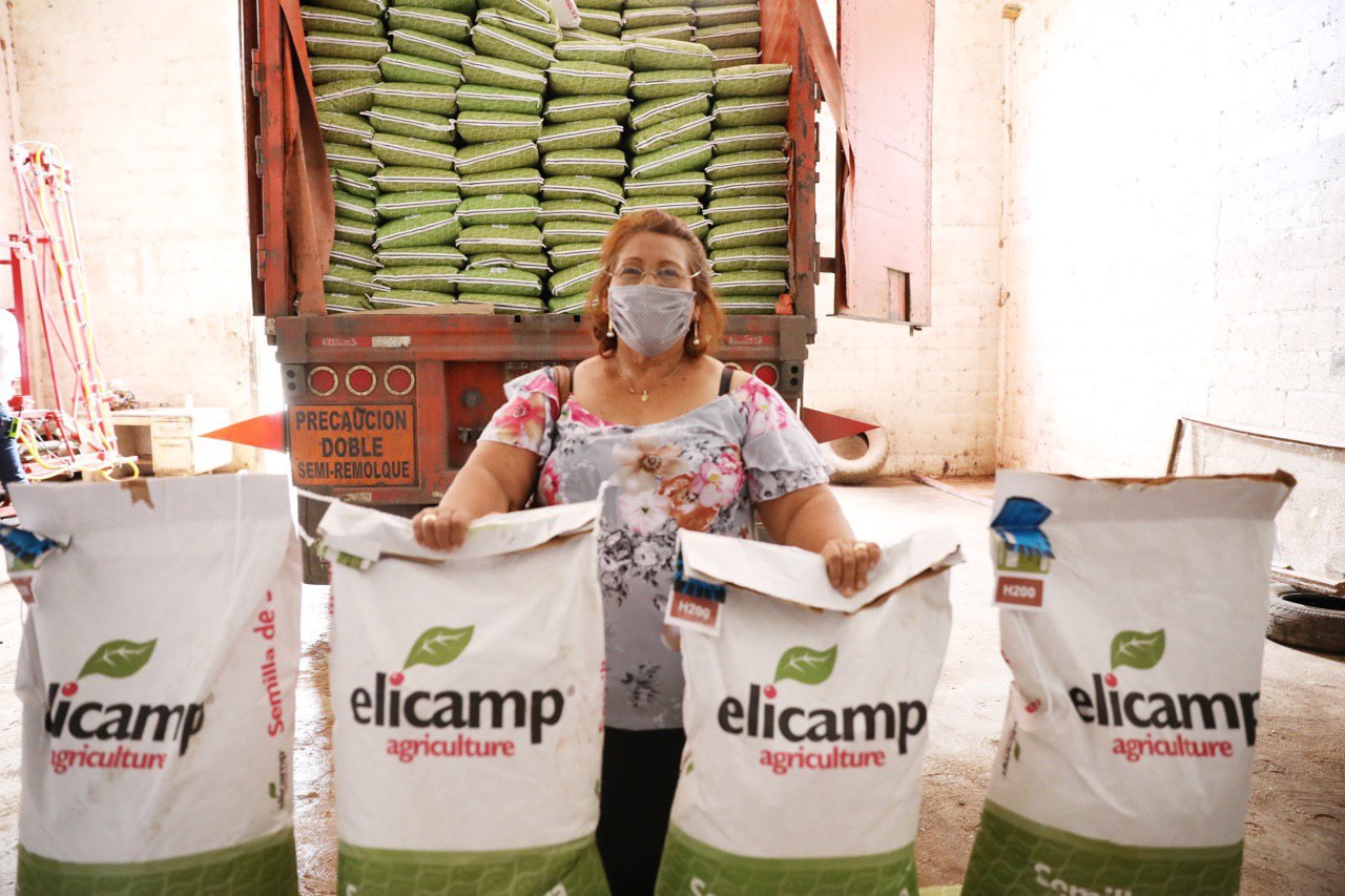 Productores del sur reciben 190 toneladas de semillas de soya para reactivar la economía rural