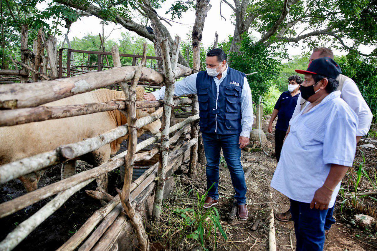 Renán Barrera entrega apoyos del programa emergente “Manos al campo”