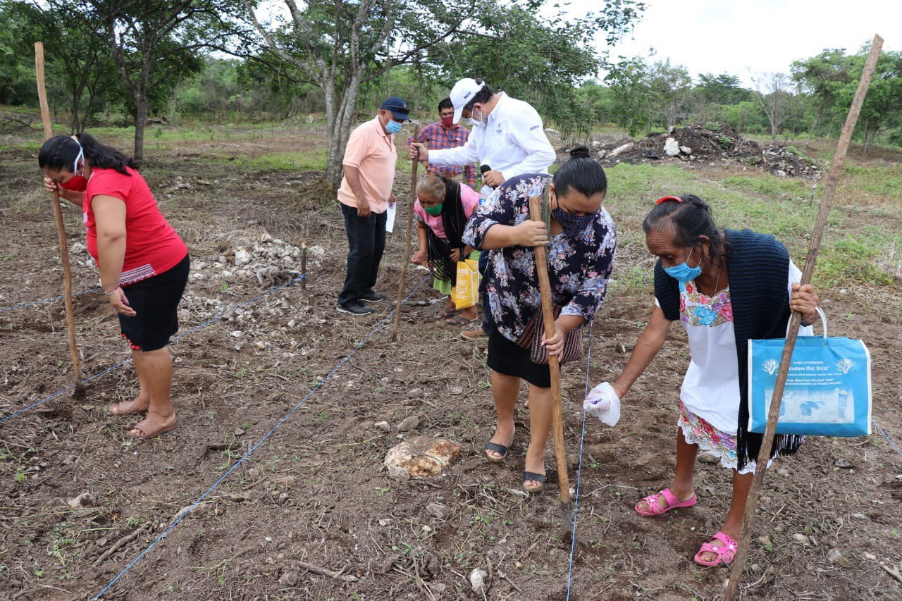 Gobierno del Estado entrega maíz y fertilizante a pequeños productores agrícolas