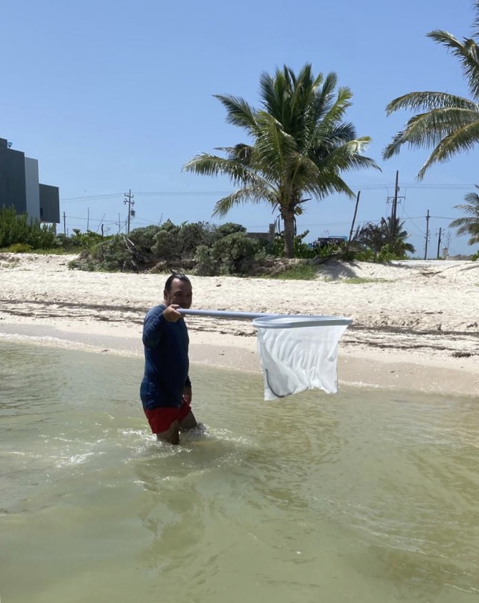 ¡Mi vida… Corre como pájaro! Méridano captura culebra en el mar