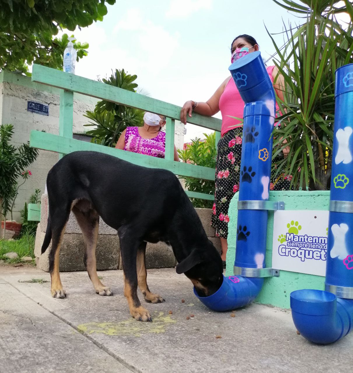 Instalan estaciones de alimentos para perros y gatos