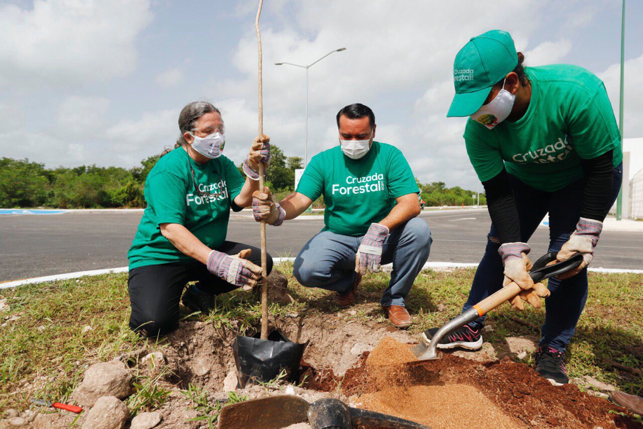 Las acciones municipales a favor del medio ambiente, firmes a pesar de la pandemia