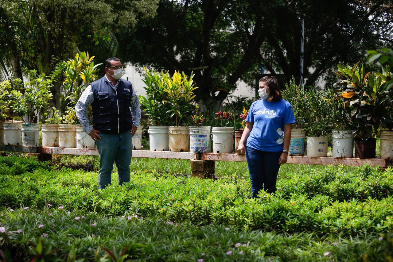 Resaltan utilidad del vivero municipal