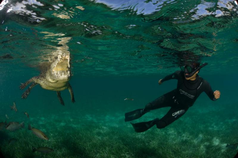 Buceo libre en cenotes, oportunidad para el turismo deportivo