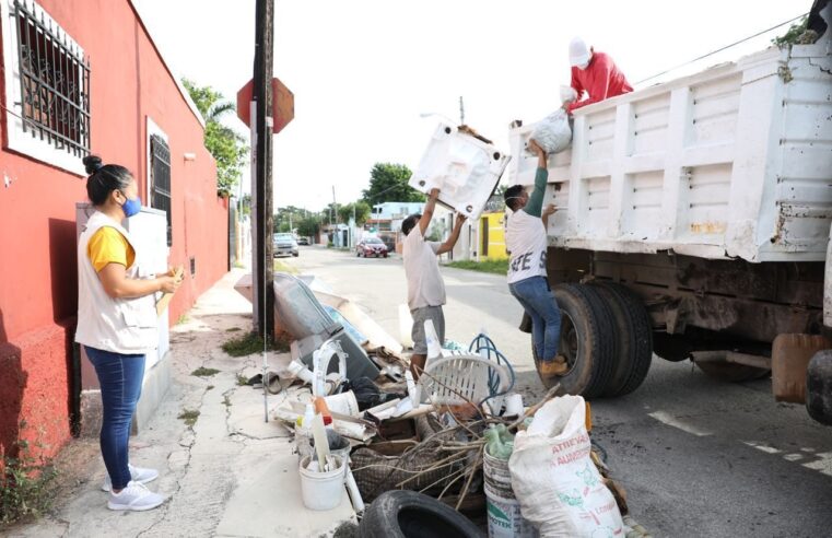 Buena participación en la jornada de descacharrización en Mérida