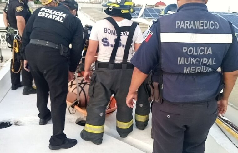 Se desvanece cuando trabajaba en el techo del mercado de San Benito