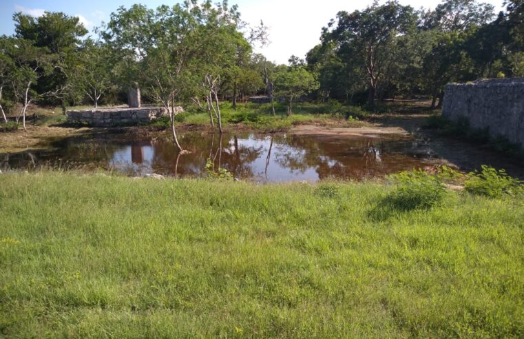 Dzibilchaltún seguirá cerrado una semana más, informa Cultur
