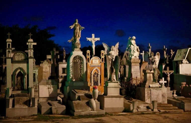 Transmisiones especiales para celebrar a los fieles difuntos