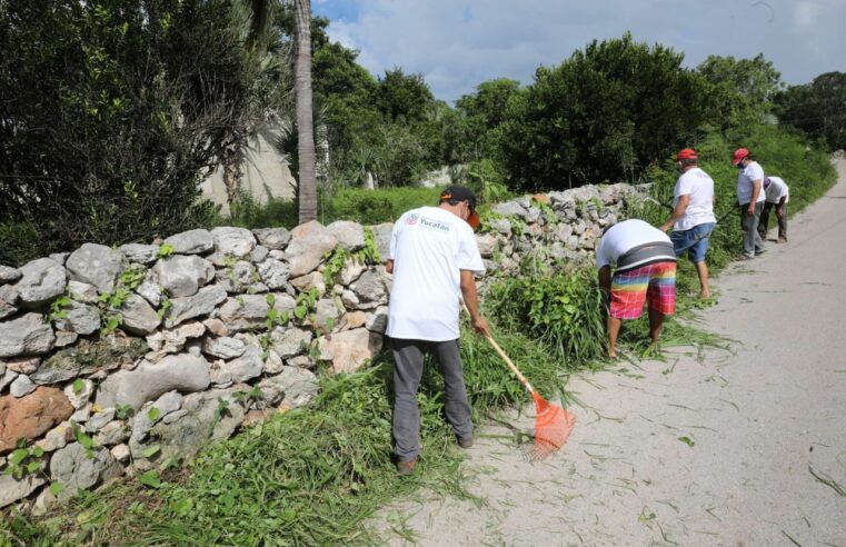 Más yucatecos beneficiados con el Programa Emergente de Apoyo Comunitario