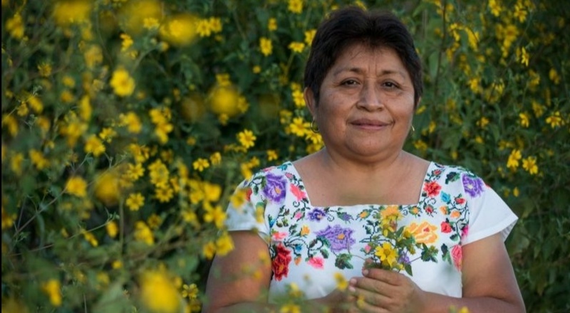 Otorgan premio ambiental global a Leydy Pech, apicultora maya que frenó a Monsanto