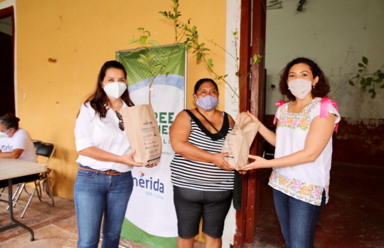 Ayuntamiento y sociedad trabajan unidos para lograr una mejor infraestructura verde en el municipio