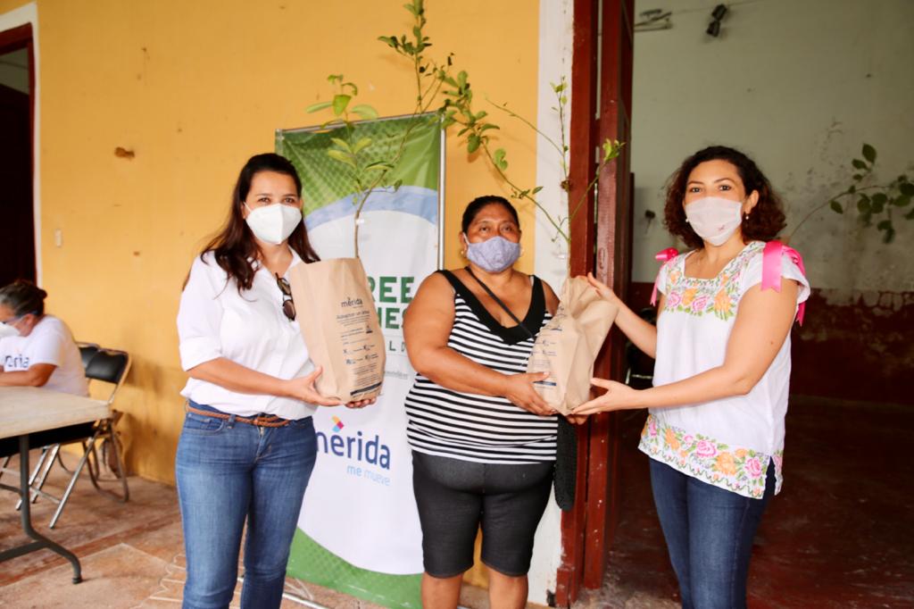 Ayuntamiento y sociedad trabajan unidos para lograr una mejor infraestructura verde en el municipio