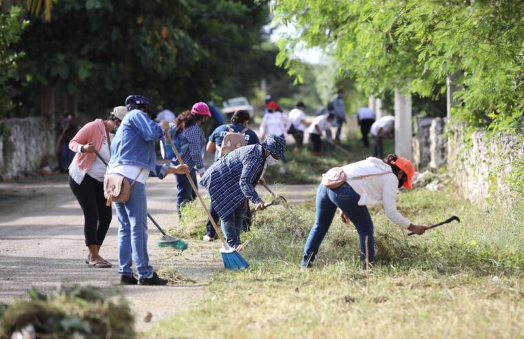 Programa Emergente de Apoyo Comunitario representa un alivio para las familias yucatecas