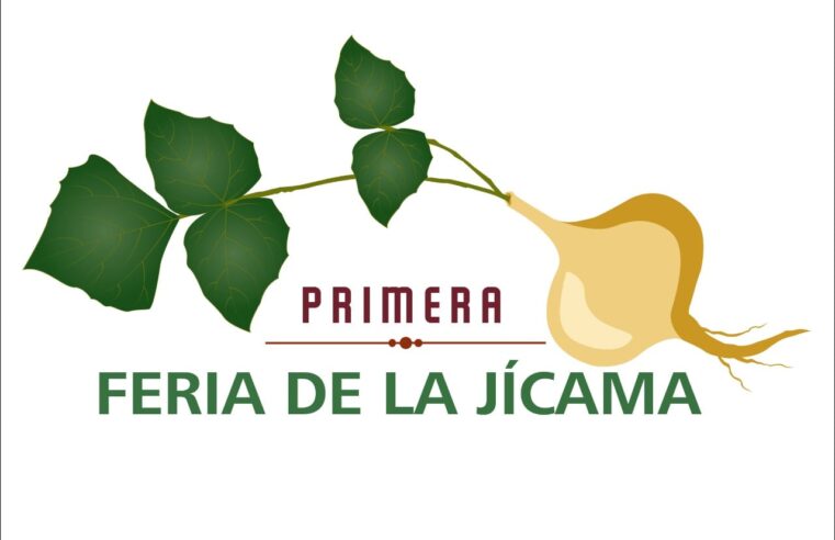 Presentan la Feria de la Jícama en Yucatán