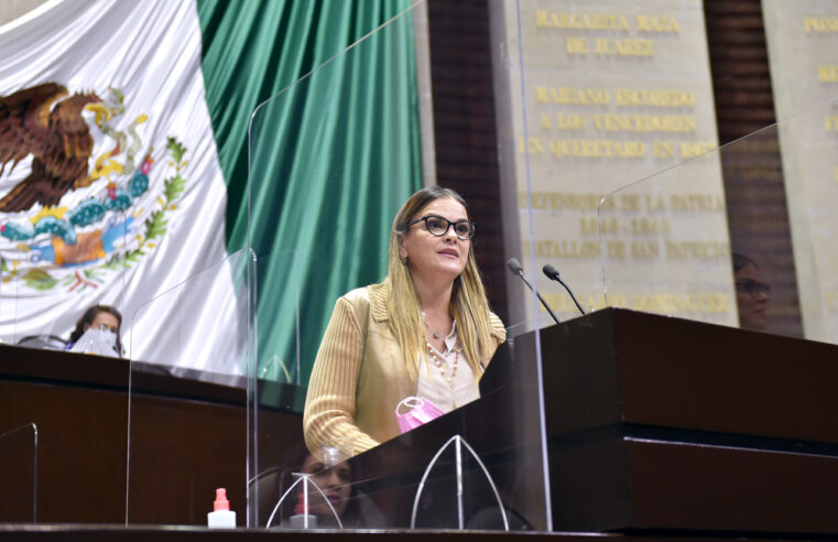 Aprueba Cecilia Patrón en el Congreso reformas en beneficio de trabajadores