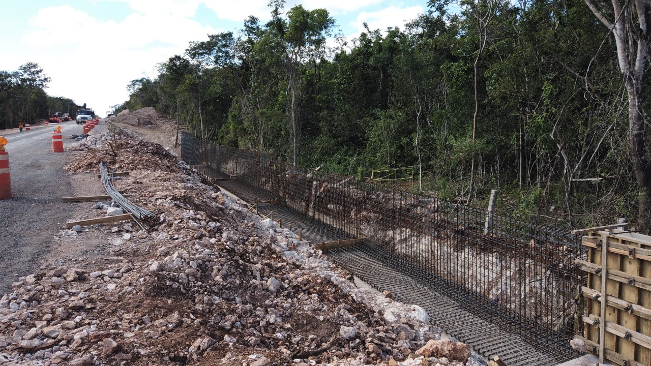 El Tren Maya pone en marcha estrategias para cuidar el medio ambiente