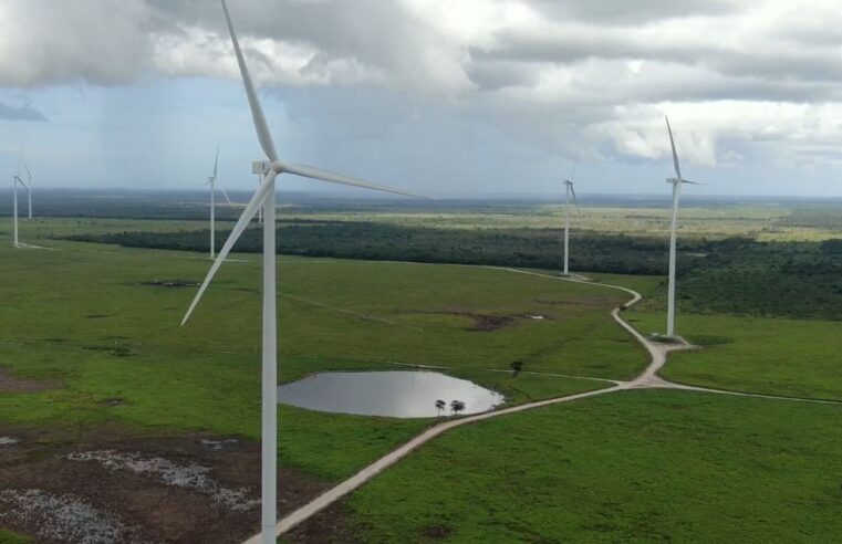 Inaugura Mauricio Vila el parque eólico de Tizimín