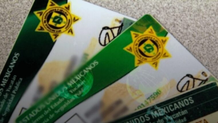 Van tras defraudadores que engañan con licencias de conducir falsas