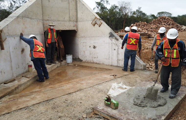 Tren Maya comprometido a preservar la fauna con pasos de tránsito de especies