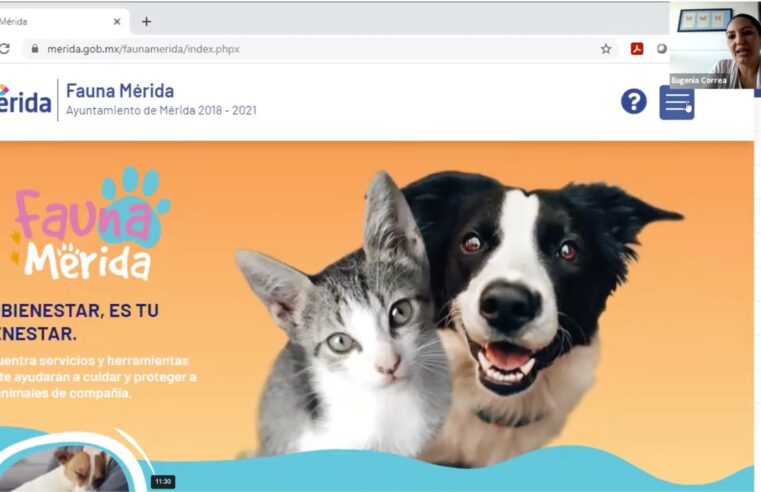 El Ayuntamiento presenta “Fauna Mérida”, plataforma digital que promueve el bienestar de los animales de compañía