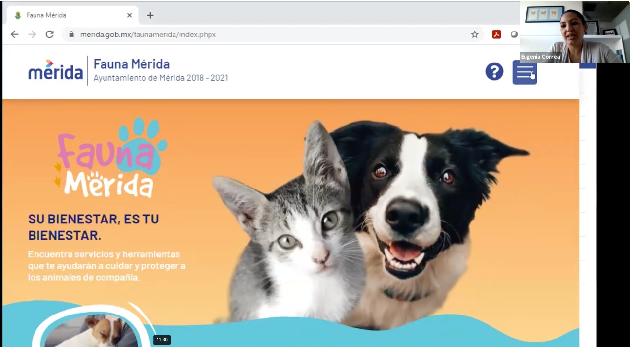 El Ayuntamiento presenta “Fauna Mérida”, plataforma digital que promueve el bienestar de los animales de compañía