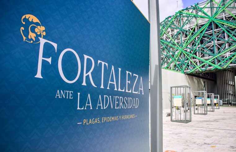 Fotografías muestran la fortaleza del pueblo yucateco ante la adversidad