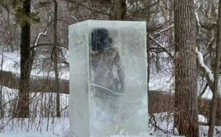 Furor por un cavernícola congelado que apareció en medio de un parque