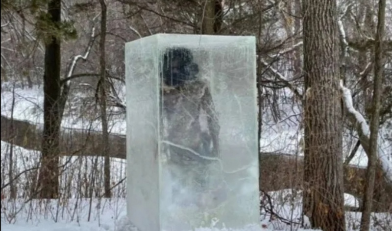 Furor por un cavernícola congelado que apareció en medio de un parque