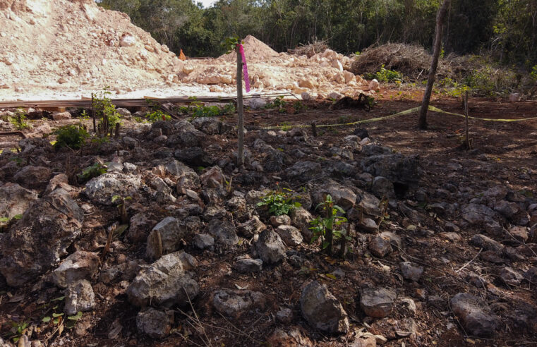 Fonatur y el INAH salvan vestigios arqueológicos en la ruta del Tren Maya