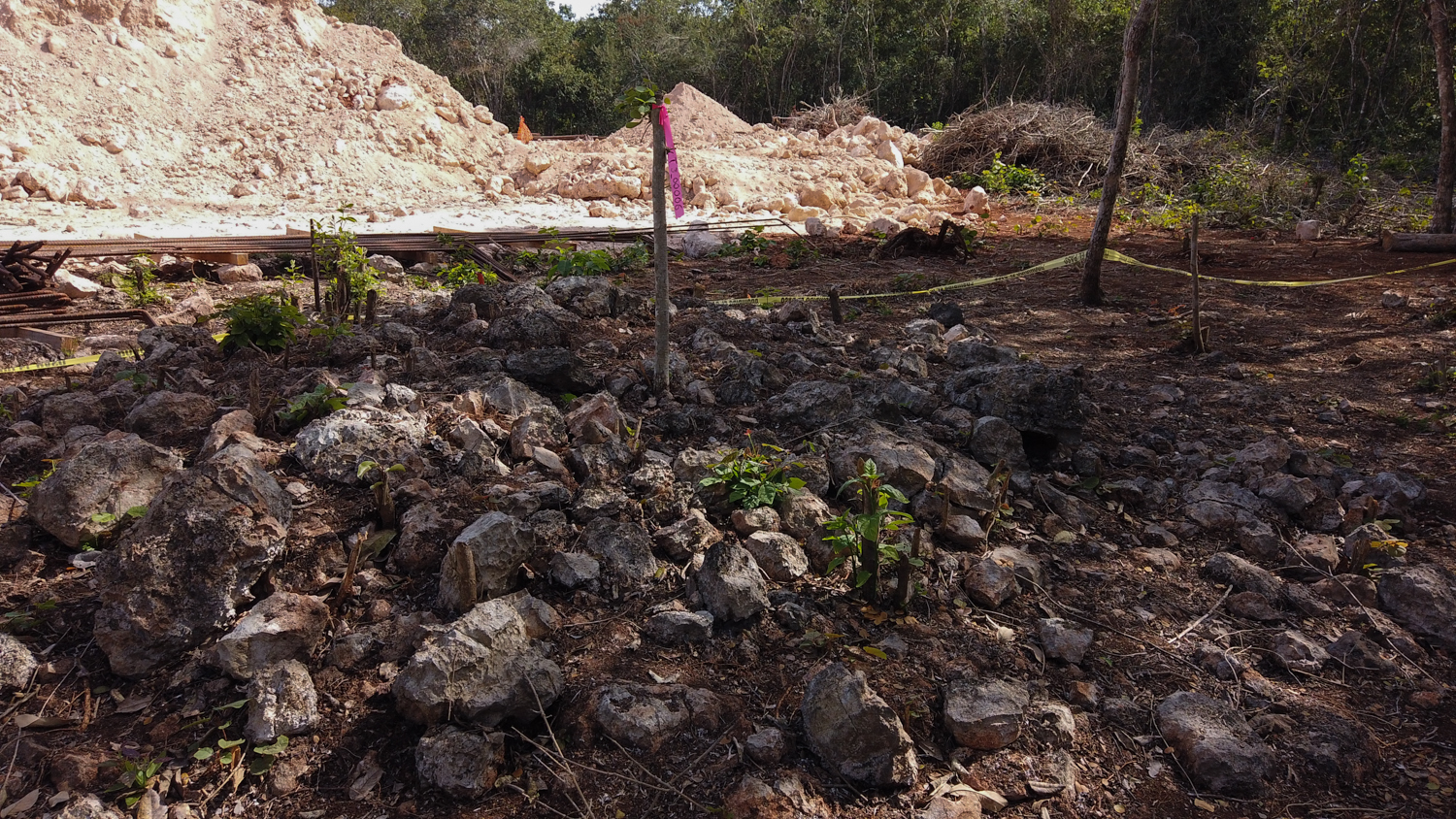 Fonatur y el INAH salvan vestigios arqueológicos en la ruta del Tren Maya