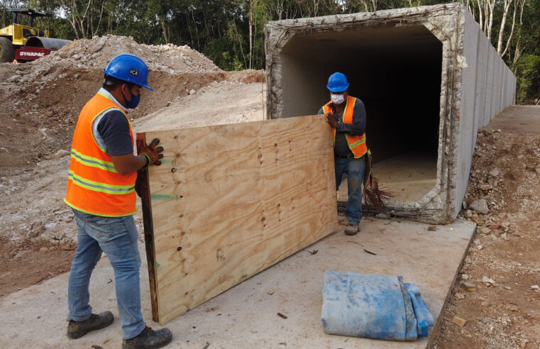 Avance del Tren Maya: obras de terracería, estabilización y drenaje en sus cuatro rutas