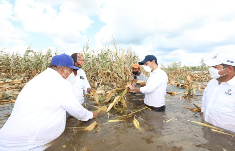 2020 ha sido el año más difícil en la historia contemporánea de Yucatán