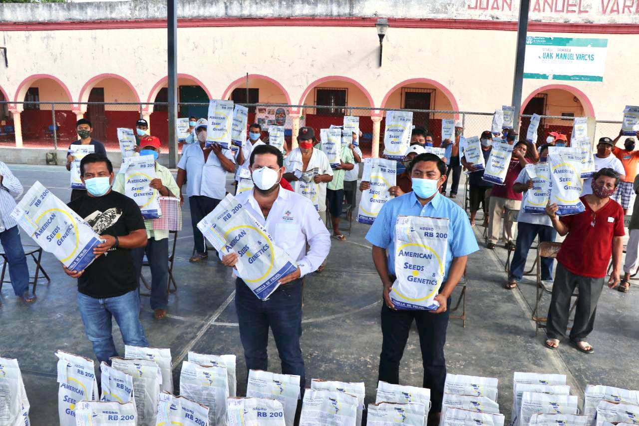 Inicia la entrega de 2,400 paquetes de semillas de frijol a pequeños productores del estado