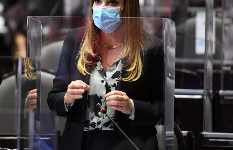 Reformas a la Ley de Electricidad, otro retroceso, advierte Cecilia Patrón