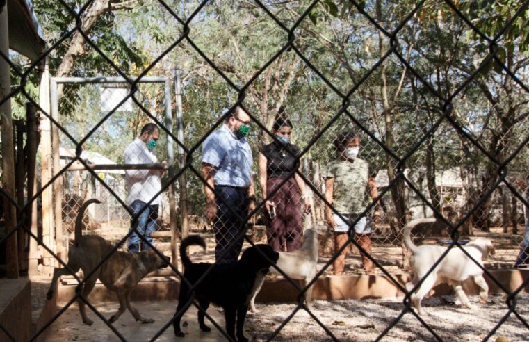 Más de 500 perros de refugios se benefician con el Reto Peek´ de Ramírez Marín