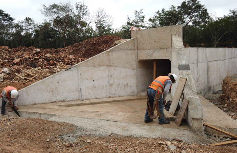 El Tren Maya se compromete con la protección de la fauna regional