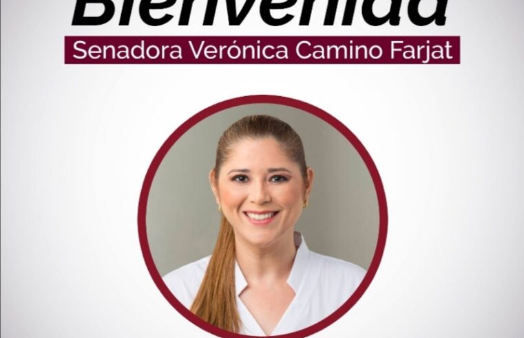 Senadora yucateca cambia nuevamente de partido